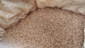 Millet Hulls inside Quilted Wool Case