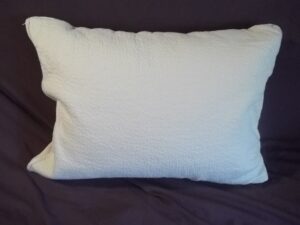 GOTS Organic Cotton Pillow Outer