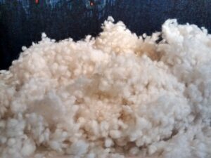 Woolly Bolas (per lb.) - Image 2