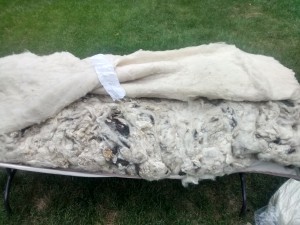 Assembling your DIY wool mattress