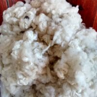 Wool Flake