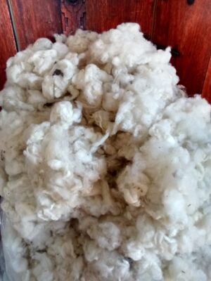 Wool Flake